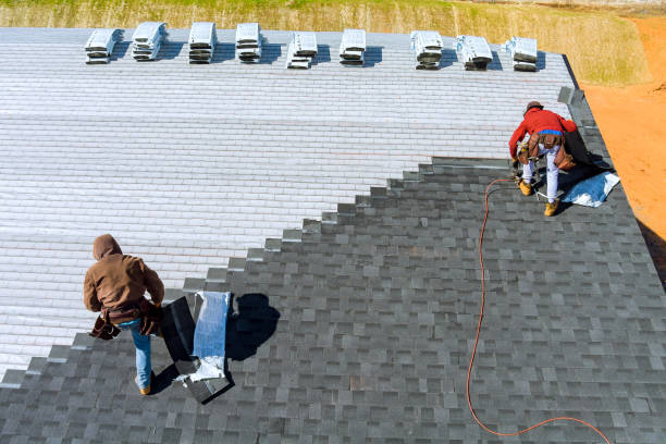 Professional Roofing Contractor in Alexandria, MN