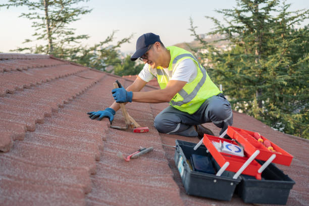 Quick and Trustworthy Emergency Roof Repair Services in Alexandria, MN